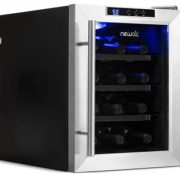 Best 12-Bottle Wine Cooler & Fridge For Sale In 2022 Reviews