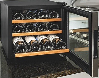 Wine Enthusiast 272 02 13W Stainless SteelWood Shelves Silent 12-Bottle Wine Cooler review