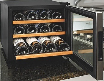 Wine Enthusiast 272 02 13W Stainless SteelWood Shelves Silent 12-Bottle Wine Cooler review